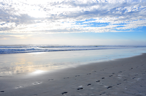 Free Picture: Photo of footprints in the sand on the beach in Daytona Beach, Florida.