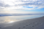 Free Photo of Daytona Beach Footprints in the Sand