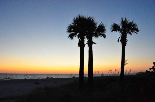 Free Picture: Photo of palm trees at sunset on the beach at Captiva Island, FL.