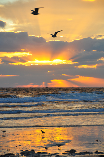 beautiful beaches sunrise