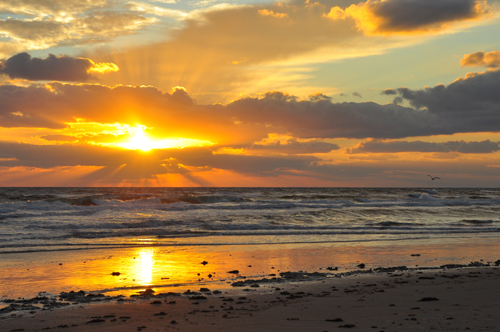 Free Picture: Photo of a beautiful Florida beach scenic sunrise, great for pictures.