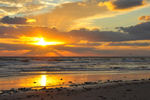 Free Photo of Florida Beach Scenic Sunrise