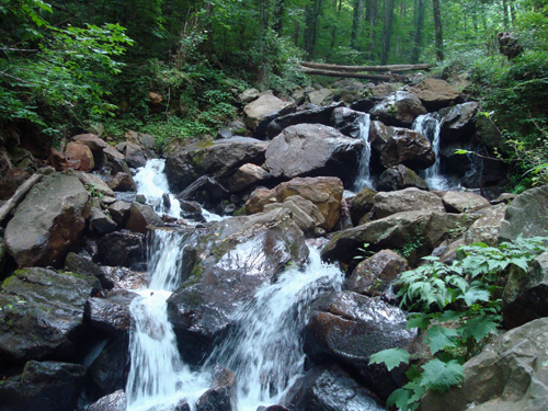 Free Picture: Photo of a small waterfall midway up the trail to Amicalola Falls in Georgia.