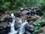 Free Photo of Amicalola Falls Georgia Mid Stream Waterfall