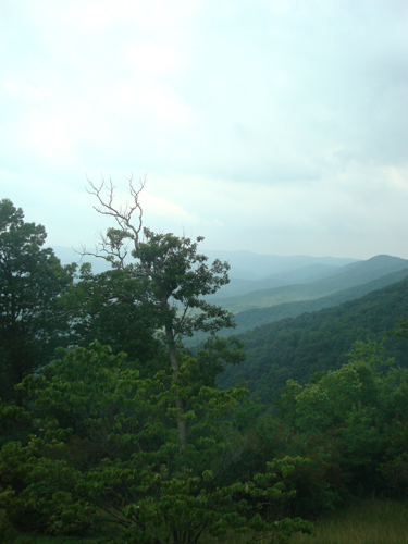 Free Picture: Photo of a the view of the Blue Ridge Mountains from to lodge on top of Amicalola Falls, Georgia.