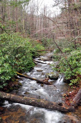 Photo of Smith Creek Anna Ruby Falls GA