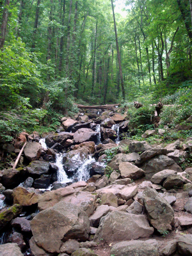 Free Picture: Photo of a trickling waterfall passing through rocks, boulders, and logs at Amicalola Falls, GA.