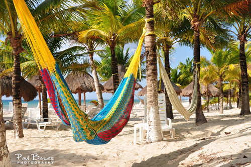 Free Picture: Photo of a colorful Mayan hammock hanging on the beach from some tropical palm trees on the island of Cozumel, Mexico.