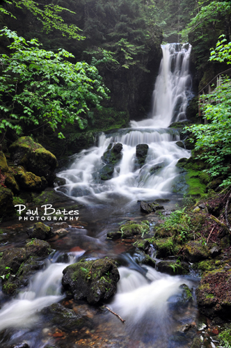 Free Picture: Photo of water flowing over the cascading waterfall of Dickson Falls in Fundy National Park in New Brunswick, Canada.