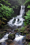 Free Photo of Dickson Falls Fundy National Park New Brunswick