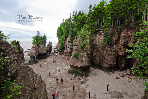 Free Picture: Photo of people walking around to explore the Hopewell Rocks, New Brunswick, Canada also known as the Flowerpot Rocks in Hopewell Cape.