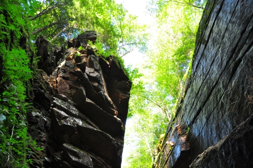 Free Picture: Photo of the area where Flume Boulder was suspended across Flume Gorge back in the 1800's.