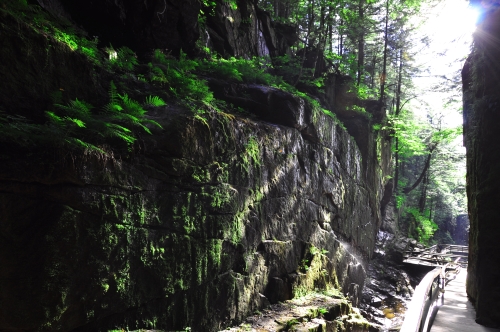 Free Picture: Photo of a dreamlike shadowy chasm at Flume Gorge, NH.