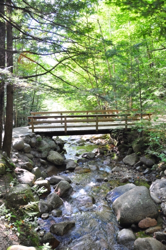 Free Picture: Photo of a footbridge crossing over rocks in a stream as water flows downstream.