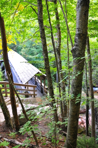 Free Picture: Photo of an old covered bridge structure in the forest that crosses a stream in New Hampshire.