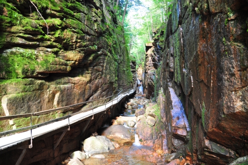 Free Picture: Photo of a wooden boardwalk suspended over a stream at Franconia Notch, New Hampshire.