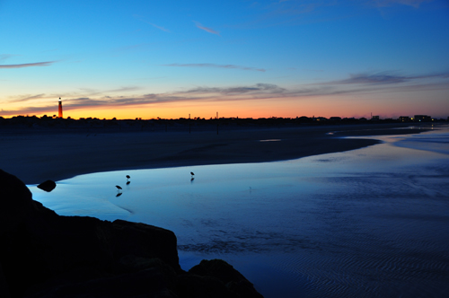 Free Picture: Photo of the soft blue glow of the sky on Ponce Inlet beach in FL where three birds pick at the wet sand among the rocks of the jetty with a view of the lights of Ponce Inlet in the background.