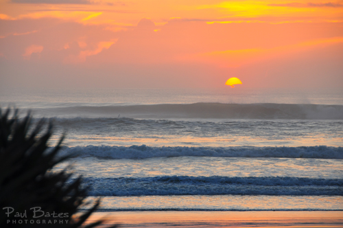 Free Picture: Photo of a view looking through a spiky palm, where an early morning sunrise warms the sky as the mist rises from crashing waves in Wilbur by the Sea near Daytona Beach in FL.