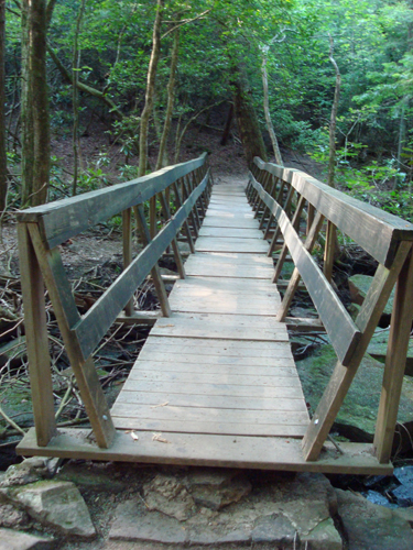 Free Picture: Photo of an old wooden rickety bridge built on rocks in Fall Creek Falls, TN.