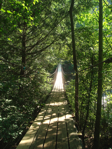 Free Picture: Photo of a suspension bridge hanging underneath some shady trees at Fall Creek Falls, TN.
